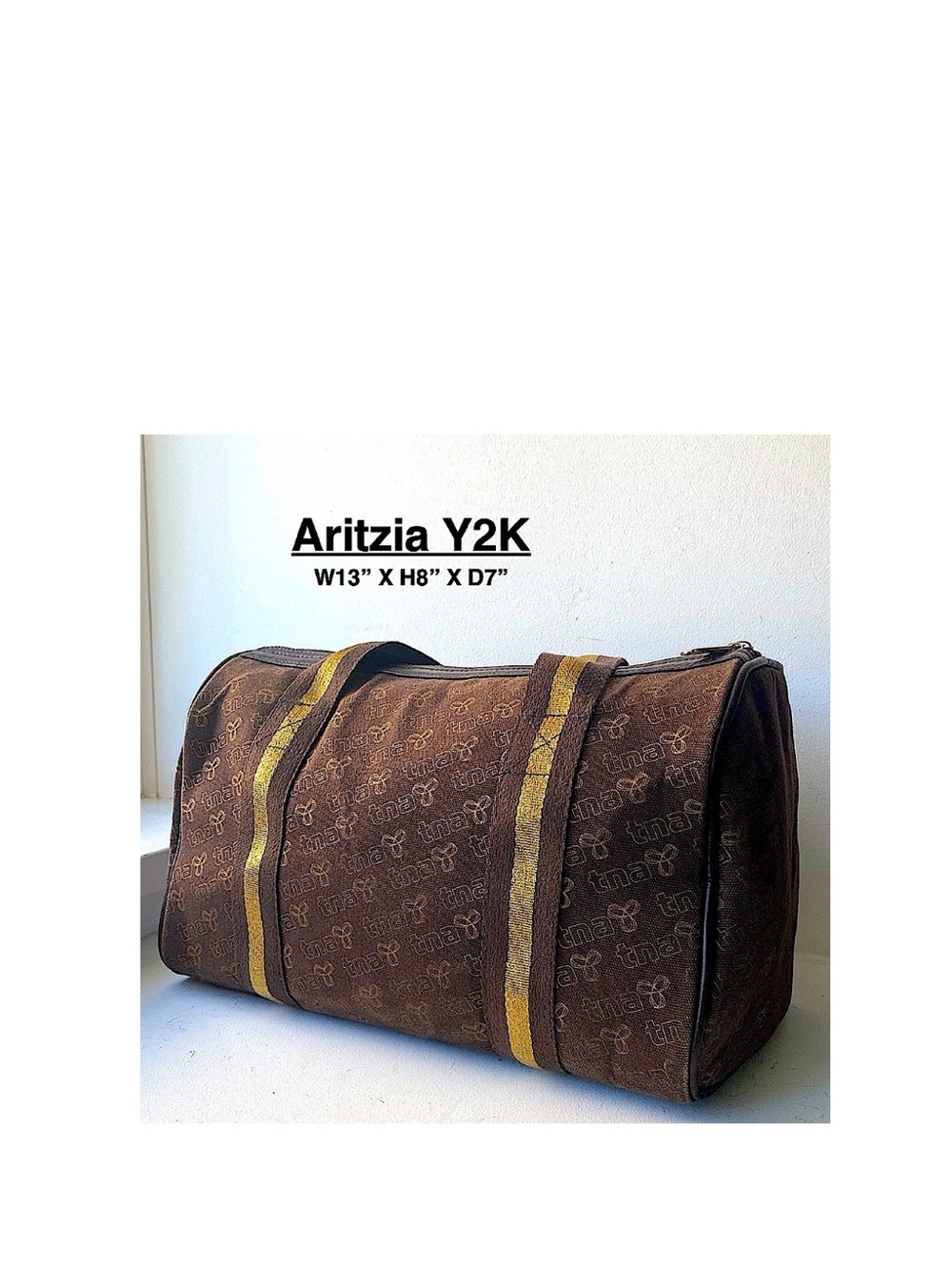 Aritzia Y2K TNA brown & gold canvas tote bag ⭐️⭐️⭐️⭐️
